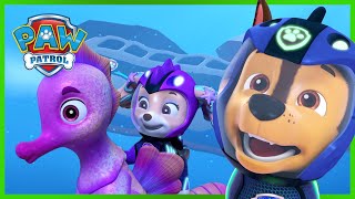 Water Pups redden de Whale Patroller  PAW Patrol Nederlands [upl. by Ahsael]