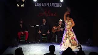 Noelia Ruiz ✨ bailaora por ALEGRÍAS en Tablao Flamenco Alma Mallorca [upl. by Suidaht]