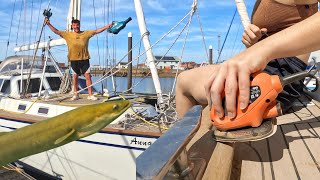 BOAT WORK Vol 1 TEAK RESTORATION of 30 year old SAILING YACHT [upl. by Amorete]