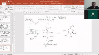 Shikimate Pathway Shikimic Acid And Chorismic Acid  Kirti Patel [upl. by Dinin]