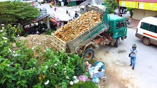 Start new Project Bulldozer push stone to delete flood water amp 5t truck unload [upl. by Antsirhc]