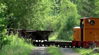 Eichenberger Waldbahn  Arbeitssonntag Juli 2015 [upl. by Osterhus]