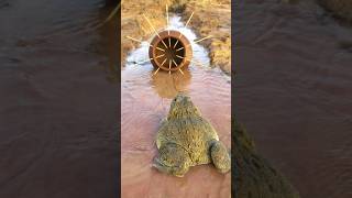 Survival Skills Simple and Useful with Clay Frog Trap survival bushcraft camping shrots [upl. by Sharma382]