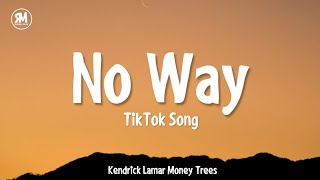 No Way TikTok Song  Kendrick Lamar Money Trees [upl. by Aicatsanna]