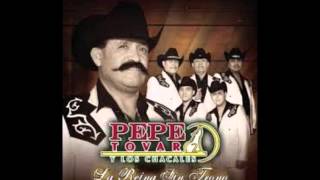 el corrido de abel mancha los chacales de pepe tovar [upl. by Levey699]