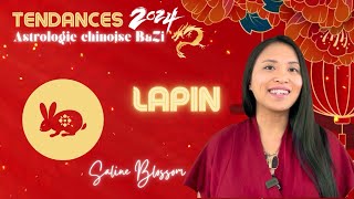 Astrologie chinoise BaZi  Année du Dragon 2024  Signe du Lapin 🐇 [upl. by Castora]