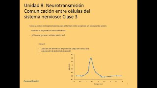 Unidad 8 2024 Neurotransmisión clase 3 [upl. by Ermentrude]