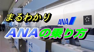 ANAの乗り方を予約から搭乗までまるごとご紹介 【飛行機 国内線 全日空】 [upl. by Hanikehs]