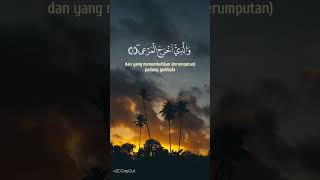 May you guide all the people of this world sorts kabbage islamicholybook foryou tanding viral [upl. by Ynoep770]