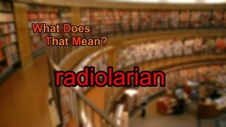 What does radiolarian mean [upl. by Ain254]