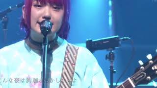 the peggies  Kiminosei live video [upl. by Angelina]