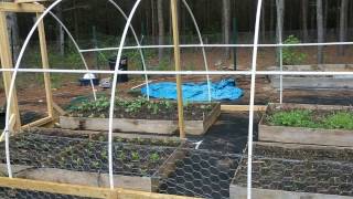 DIY PVC GreenhousePoly Tunnel Greenhouse Project first try [upl. by Ali497]