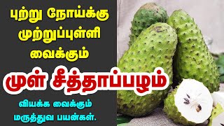 முள் சீத்தாப்பழம் சாப்பிடுவதால் நன்மைகள்  Soursop Health Benefits  Cancer Cure Fruit  Graviola [upl. by Malvina]