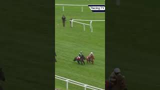 Incredible renewal of the Shetland Pony Race horse horseracing racingtv sport [upl. by Ahtnahc]