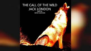 The Call of the Wild  by Jack London  Audiobook Review [upl. by Onifled]