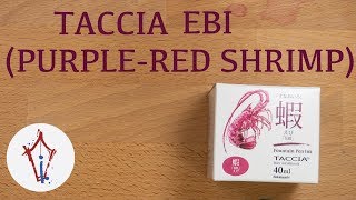 Taccia Ebi [upl. by Cherrita]