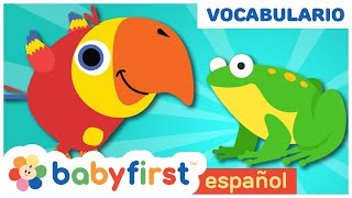 Aprende los animales con huevos sorpresa  Sonidos de Animales para Niños  Baby First TV Español [upl. by Serafine]