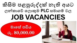 Top Job Vacancies in Sri Lanka 2024 for Beginners  No Experience Needed [upl. by Annenn657]