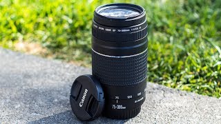 5 Reasons Why You SHOULD Consider The Canon 75300mm Lens [upl. by Ytirahc]