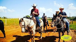 ENCONTREI O ESTAGIÁRIO NA CAVALGADA DE BÁLSAMO [upl. by La Verne232]