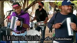 EL RATONCITO AGUEITON EN VIVO  LOS CACHIMBONES [upl. by Araf]