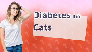 Do cats suffer when they have diabetes [upl. by Leinoto572]