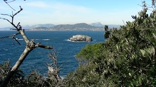 La presquîle de Giens  Sur le sentier du Littoral depuis le port de la Madrague [upl. by Aihsotan]