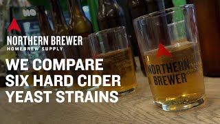 We Compare Six Hard Cider Yeast Strains [upl. by Miko]