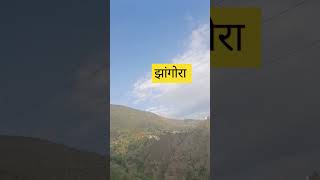 narendra singh negi narendrasinghnegisong shortfeed viral pahadi garhwalisong [upl. by Sams307]