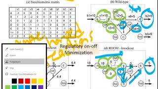 Lecture 72  Regulatory On Off Minimization ROOM  Genome Scale Metabolic Models [upl. by Shaughn874]