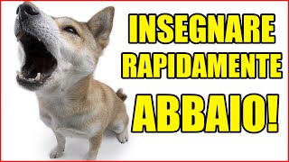 Easy Dog  Come insegnare rapidamente l Abbaio [upl. by Barbarese]