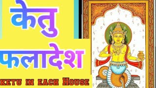 केतु फलादेशpast life connection and prediction for ketu [upl. by Ahtaela]