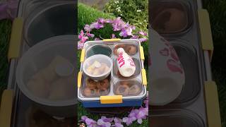 Pani Puri lunchbox 😋😋shorts ytshorts youtubeshorts panipuri lunchboxready foddie food recipe [upl. by Carmine]