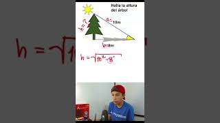 Halla la altura del árbol  Trigonometría shortsviral matematicas [upl. by Yrnehnhoj]