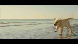 Marley and Me 2008 Marley amp Eu  Trailer [upl. by Eerazed]