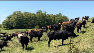 Ben discusses an error grazing the Corrientes [upl. by Lora937]