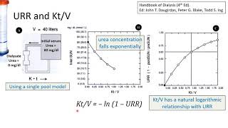 Clearance and KtV  Clearance Calculations in Haemodialysis [upl. by Llenod]