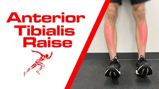 Anterior Tibialis Raise [upl. by Yralih]