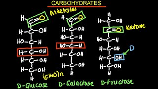 Carbohydrates  Monosaccharides  Biology [upl. by Serafine]