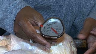 Proper Use of a Food Thermometer [upl. by Werdnael]