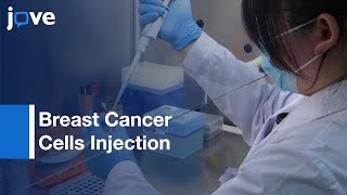 Breast Cancer Cells Injection [upl. by Ramal526]