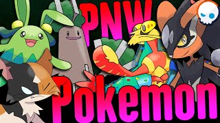 MORE Pacific Northwest Pokemon  Kaskade Region  Gnoggin [upl. by Leihcey79]