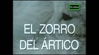 El Zorro del Ártico  Documental 1995  Español Latino Omar Aranda [upl. by Galanti]