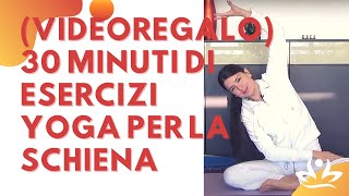 VIDEOREGALO 30 minuti di esercizi yoga per la schiena [upl. by Shishko677]