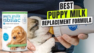 5 BEST Puppy Milk Replacement Formula [upl. by Marleah]