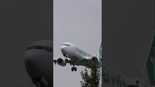 Transavia 737 SUPER Closeup🤩 [upl. by Jeniece]