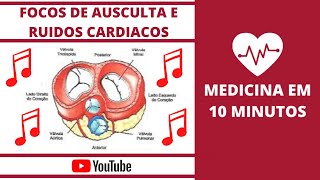 Focos de Ausculta Cardíaca  Pontos de Ausculta Cardiaca [upl. by Helsa118]