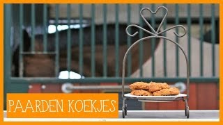 Paardenkoekjes maken  PaardenpraatTV [upl. by Yerga]