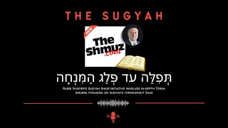 The Sugyah 18  Year 2  Shiur 8 [upl. by Gilead67]