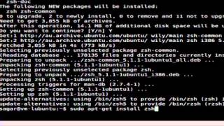 How to install zsh in Ubuntu [upl. by Beuthel]